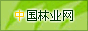 中国林业网