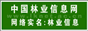 中国林业信息网