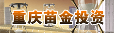 重庆苗金投资有限公司