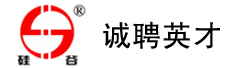 河北硅谷化工有限公司