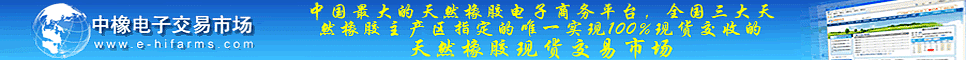 中橡电子交易市场